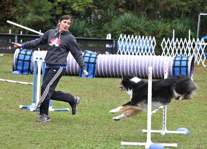 Sally Gordon running agility with her dog.