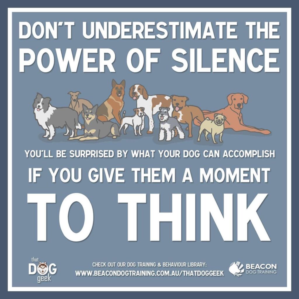 Give Your Dog Time to Think