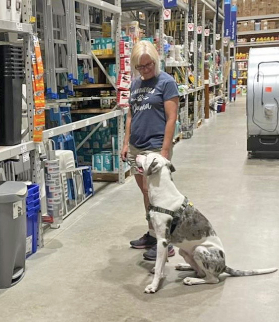 A woman looking at her Catahoula Leopard Dog while standing in an aisle at Lowes